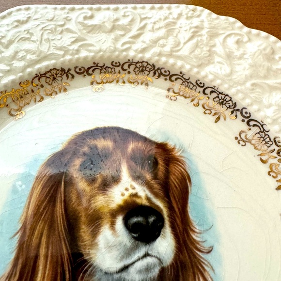 Lord Nelson English Pottery - Springer Spaniel Portrait Plate - Vintage - Picture 5 of 5